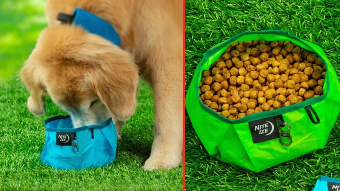 FDA Releases List Of Dog Food Brands That Could Lead To Heart Disease