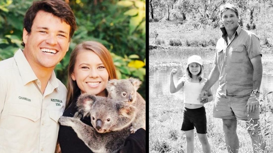 Bindi Irwin Honors Father’s Legacy Through Engagement Ring Photo ...