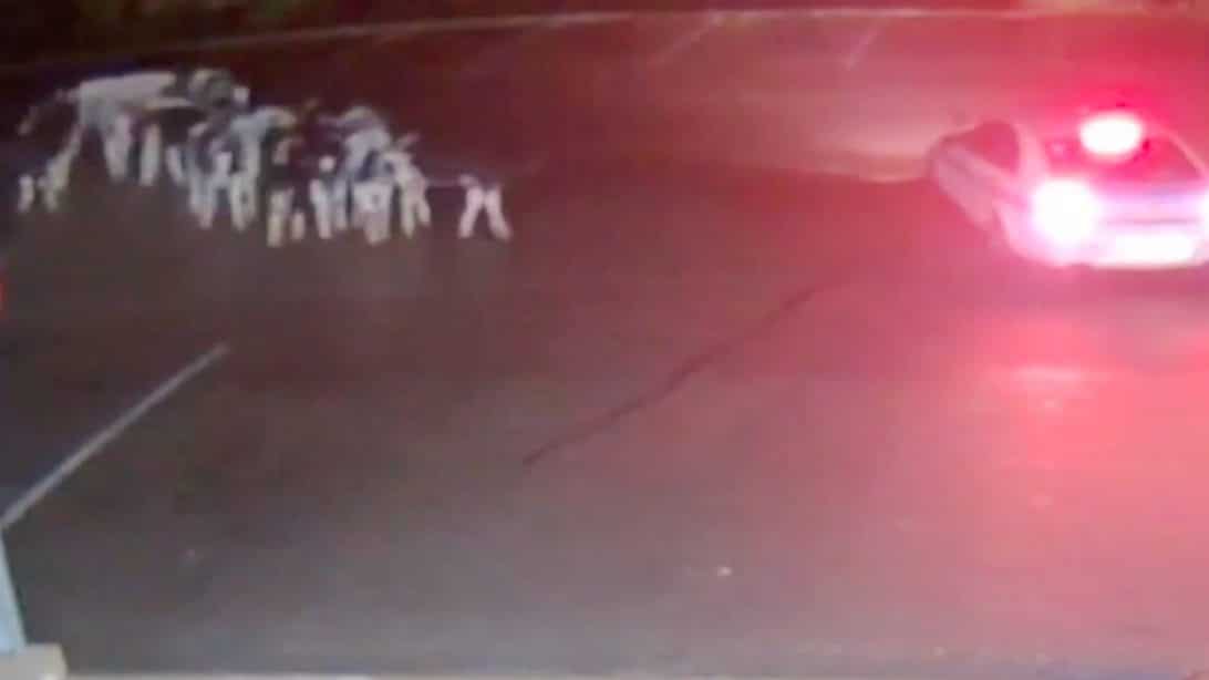 Police Encounter 16 Spotted Cows Outside Of ‘Spotted Cow’ Beer Brewery
