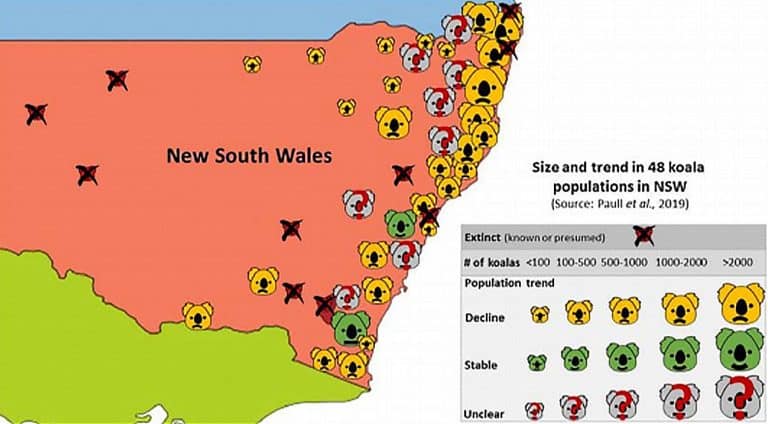 Australian State Says All Of Its Koalas Will Be Extinct By 2050   Graph 768x424 