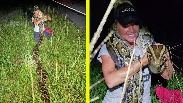 Female Snake Catcher Captures 17-Foot Python