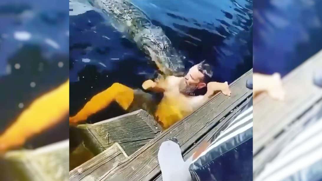 Man Gets Attacked By Alligator While Trying To Impress Tourists