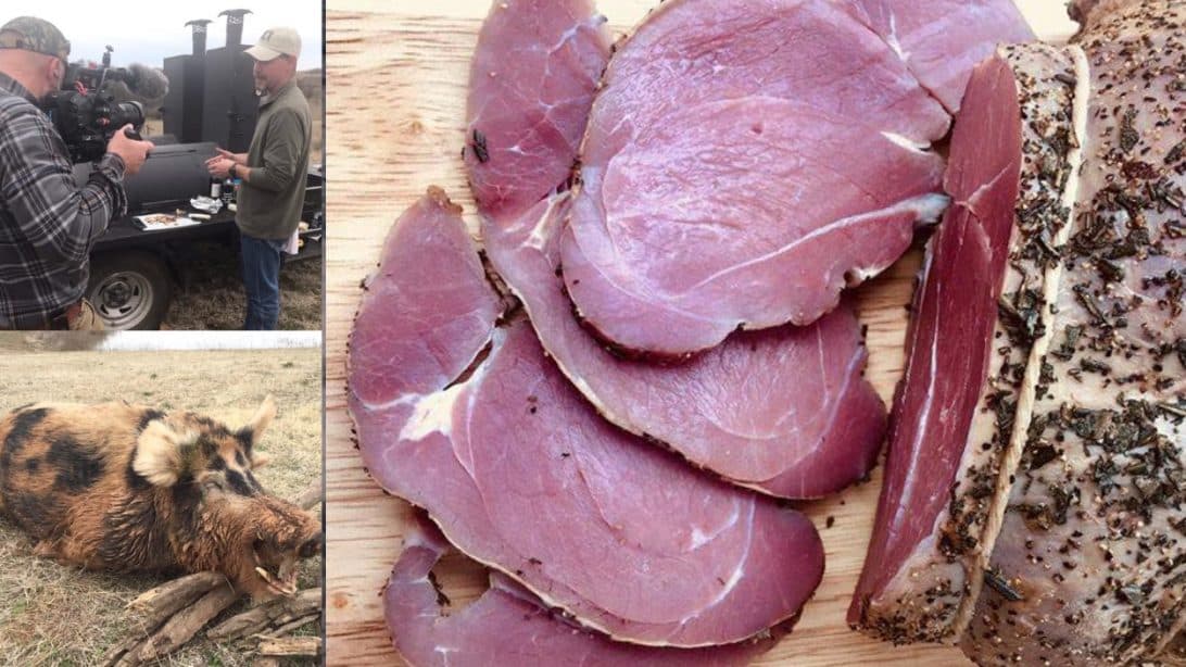 Wild Hog Meat Now For Sale Online