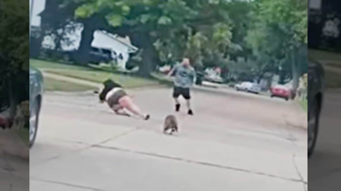 Woman Face-Plants Into Pavement During Angry Raccoon Chase
