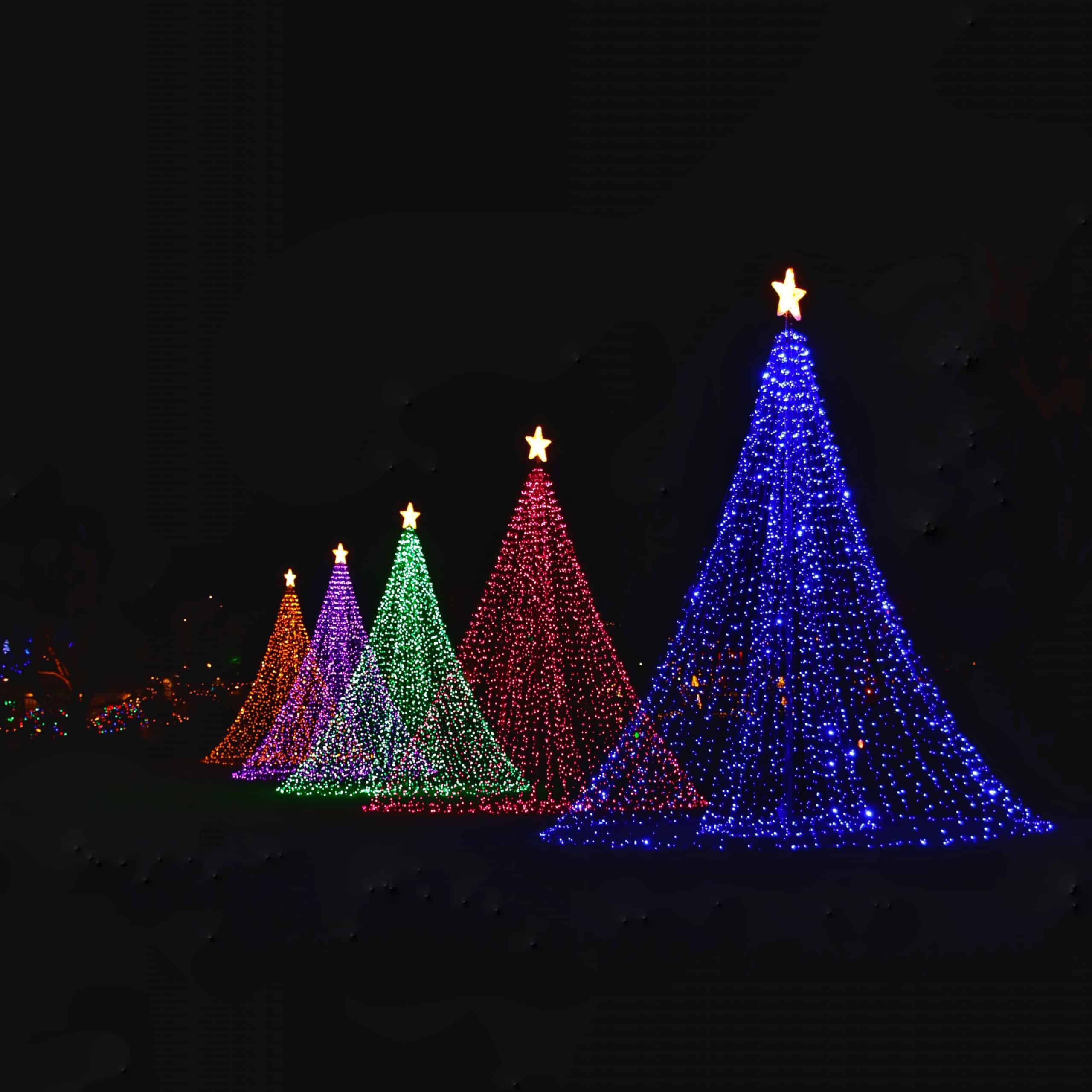 Photo of a Christmas lights display