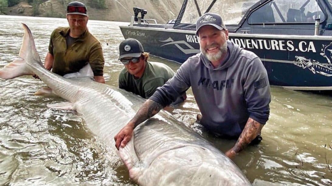 Happiest Fisherman Of All Time Catch 110-Year Old, 700-Pound White Sturgeon