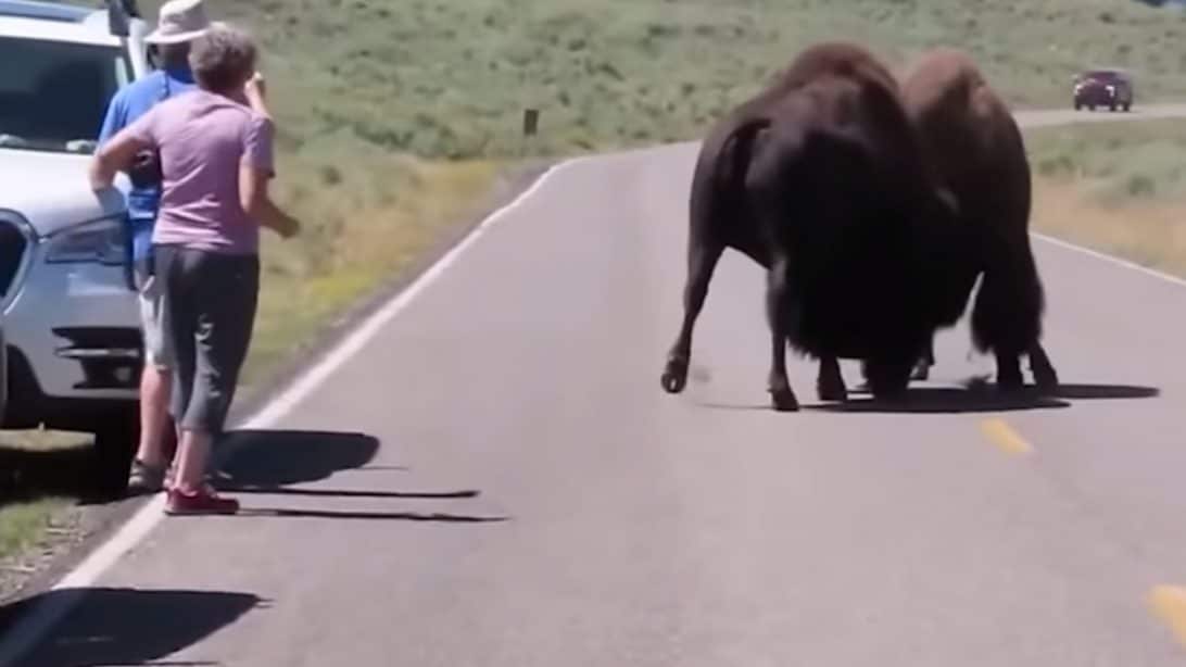 Joey Feek’s Dad Dies From Heart Attack MidFlight Country Music Family