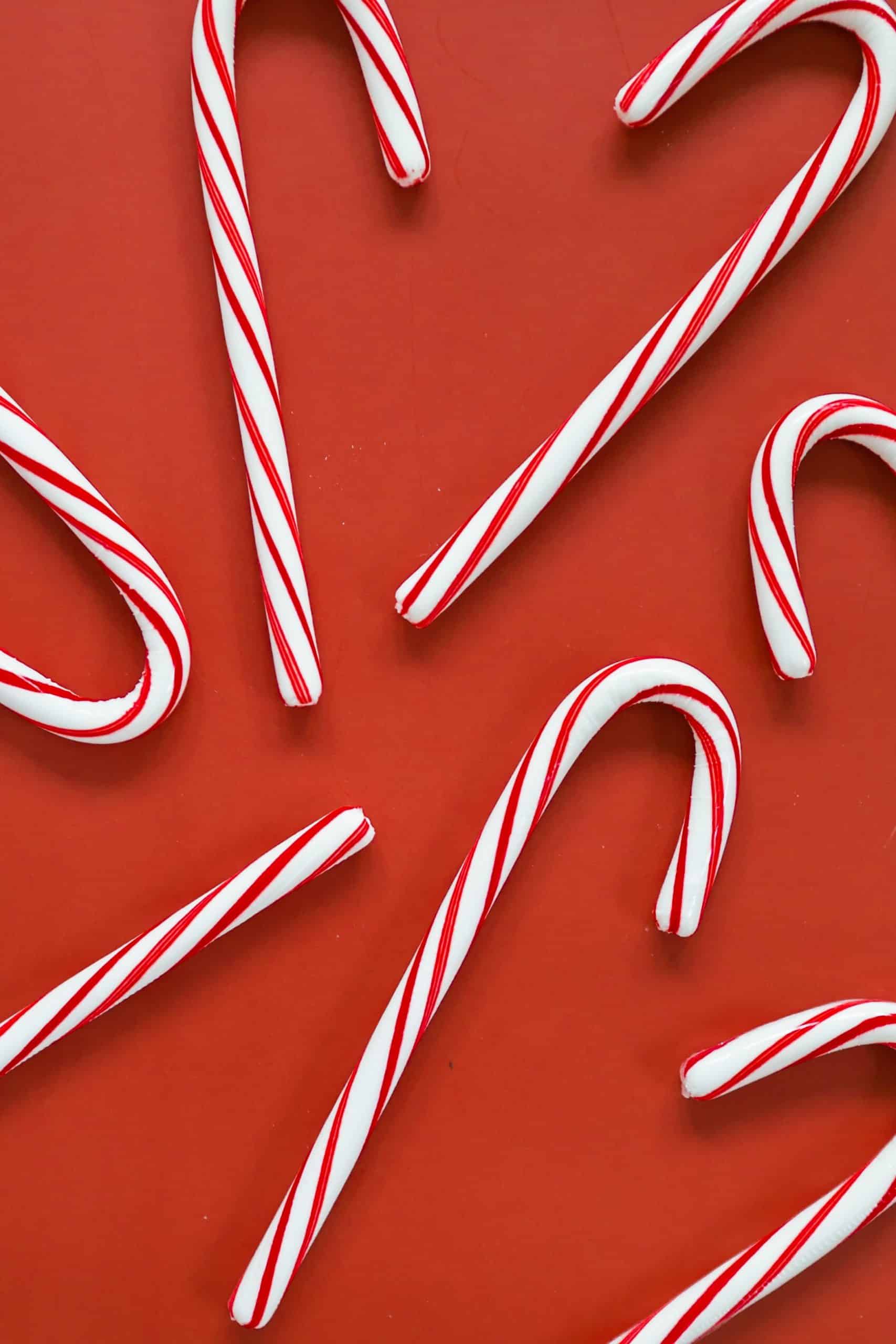 Photo of candy canes on a red backdrop