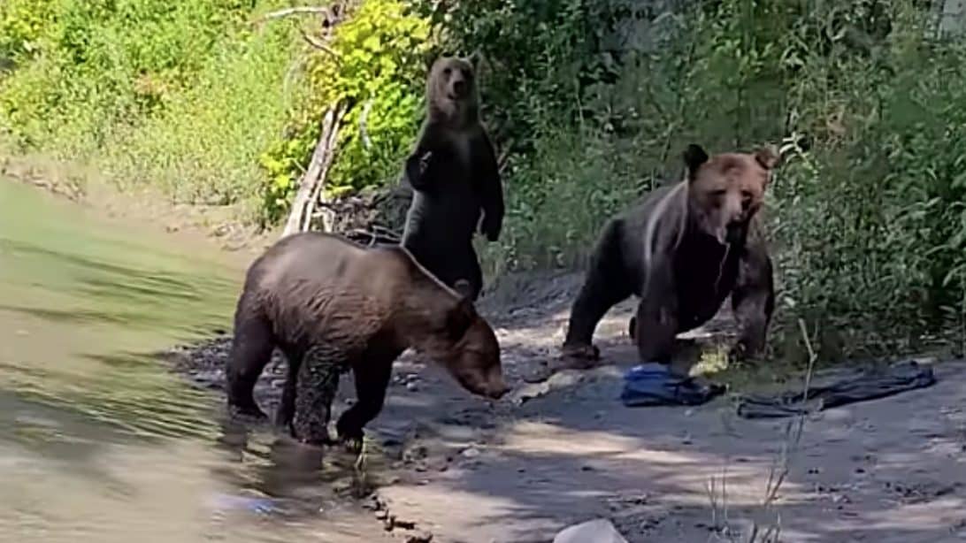 Joey Feek’s Dad Dies From Heart Attack MidFlight Country Music Family