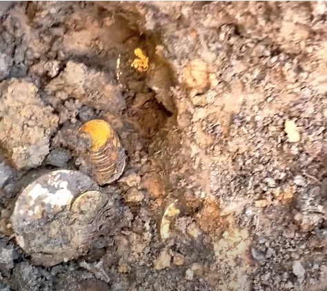 A Kentucky farmer found over $3 million in Civil War-Era coins on his land