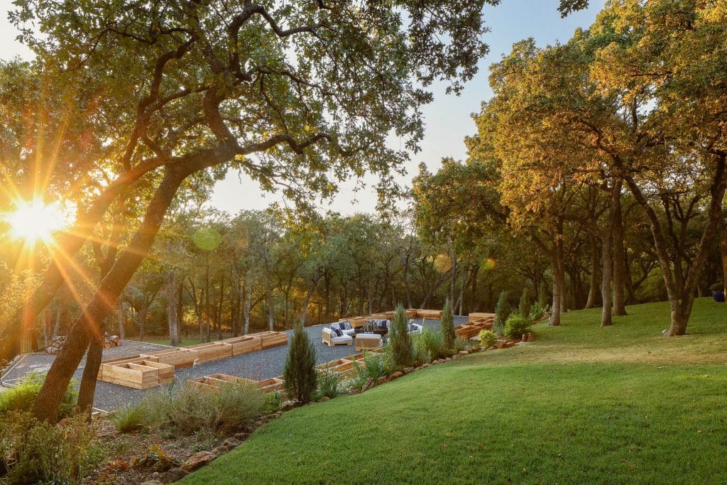 farm to table garden 