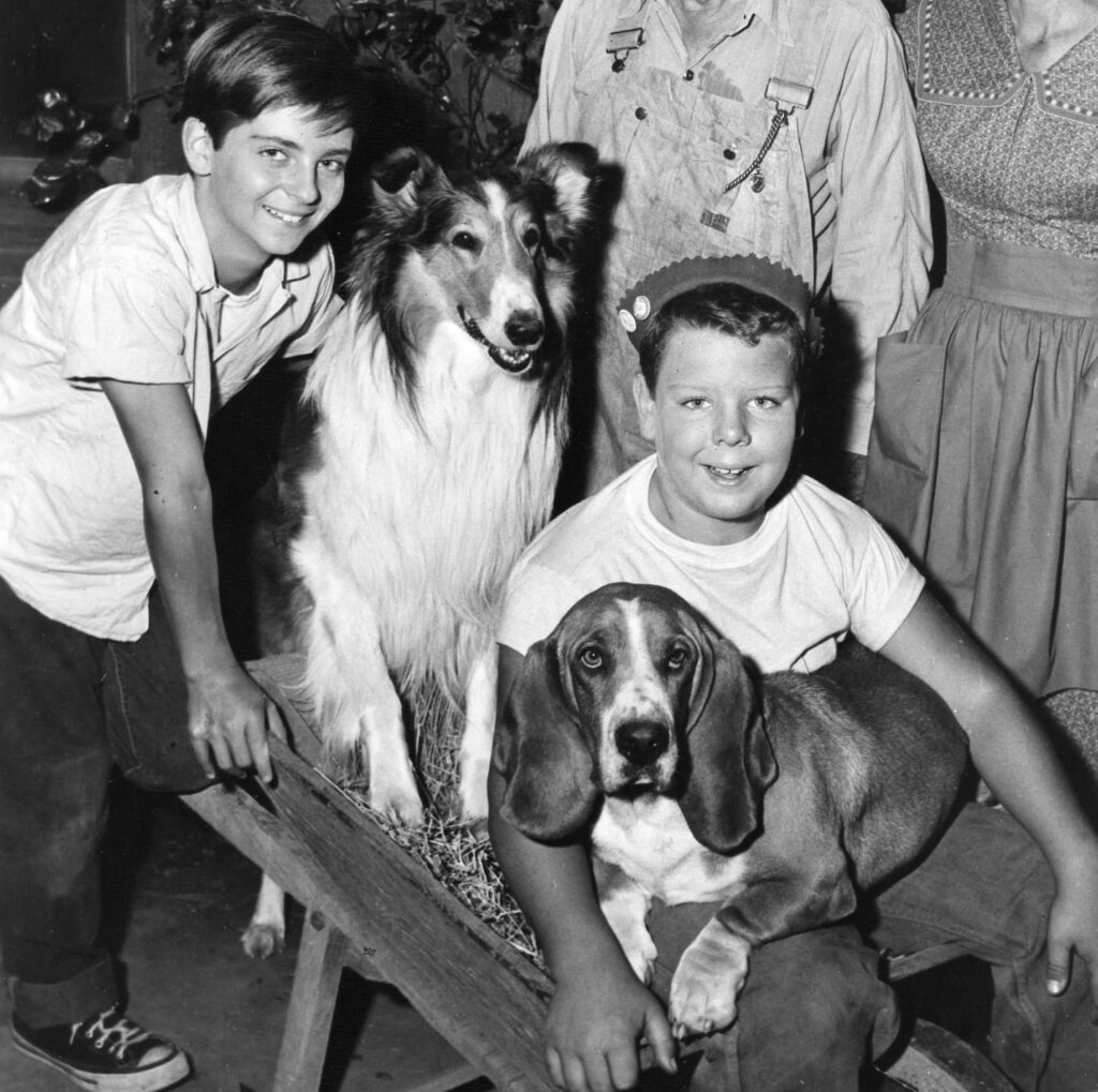 Joey D. Vieira and the cast of Lassie