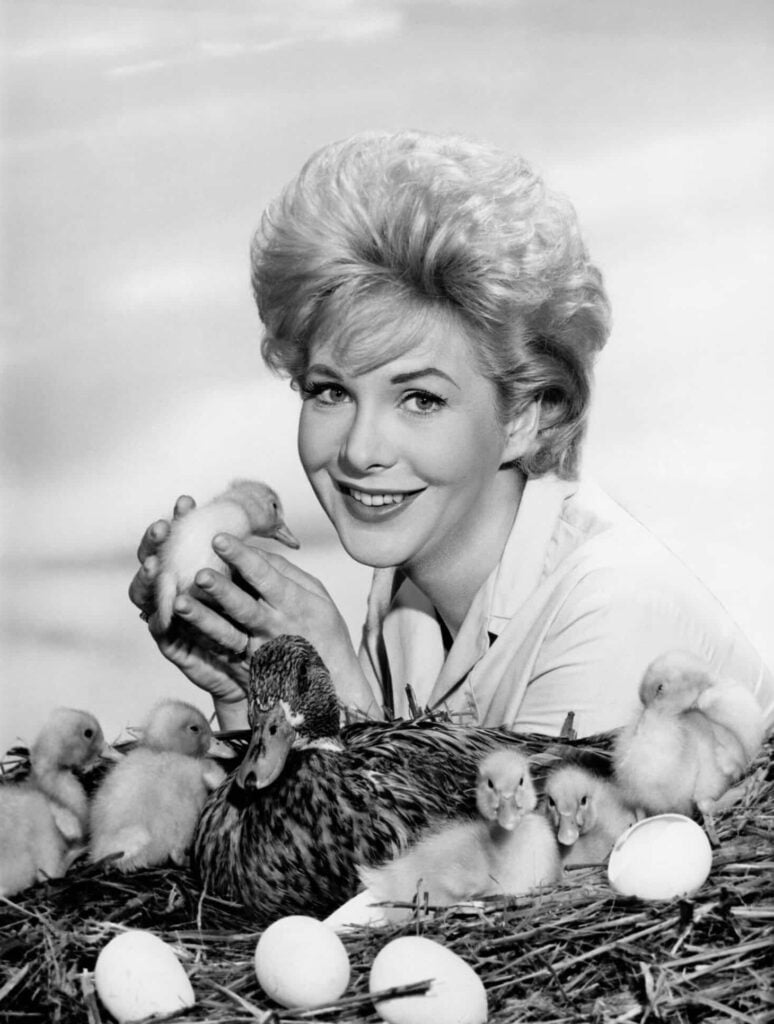 Actress Jan Shepard holds a duckling in a promotional image from 1963