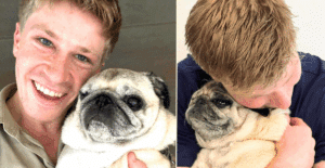 Robert Irwin shares unfortunate update about his dog Stella's health