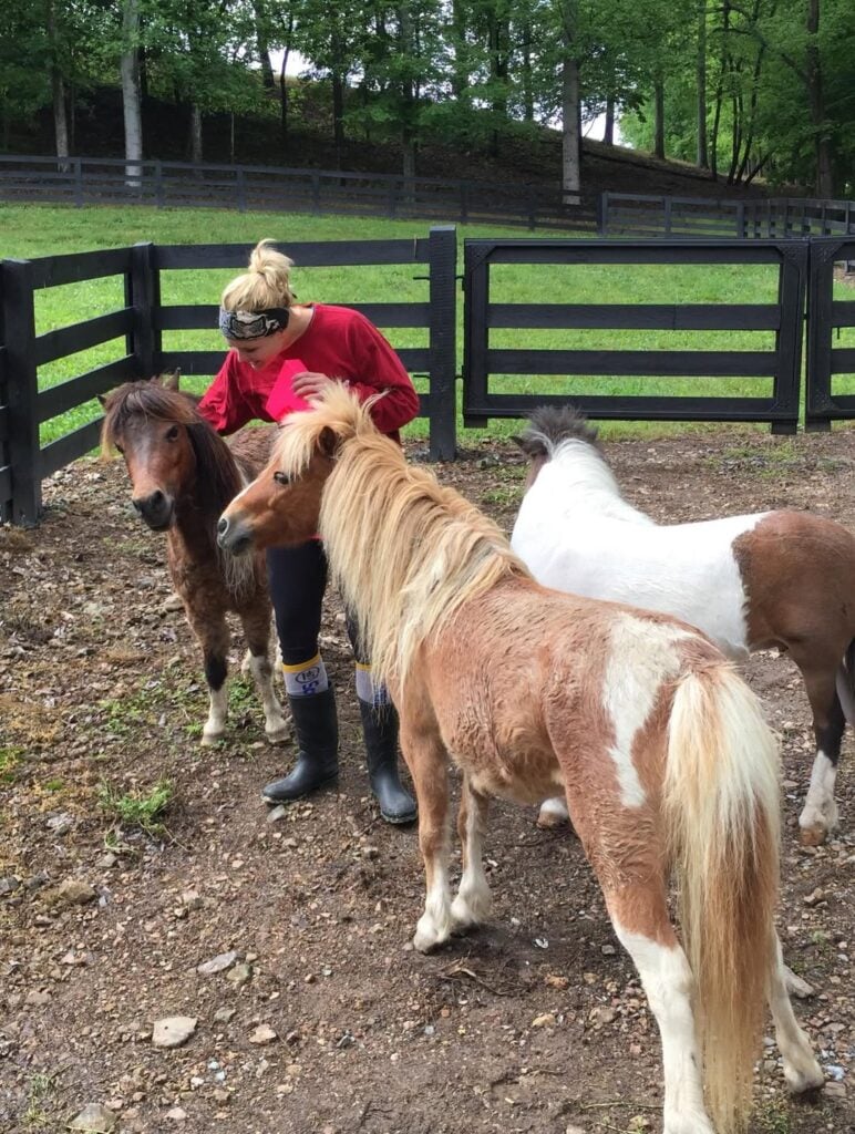 miranda lambert and horses in a corral 