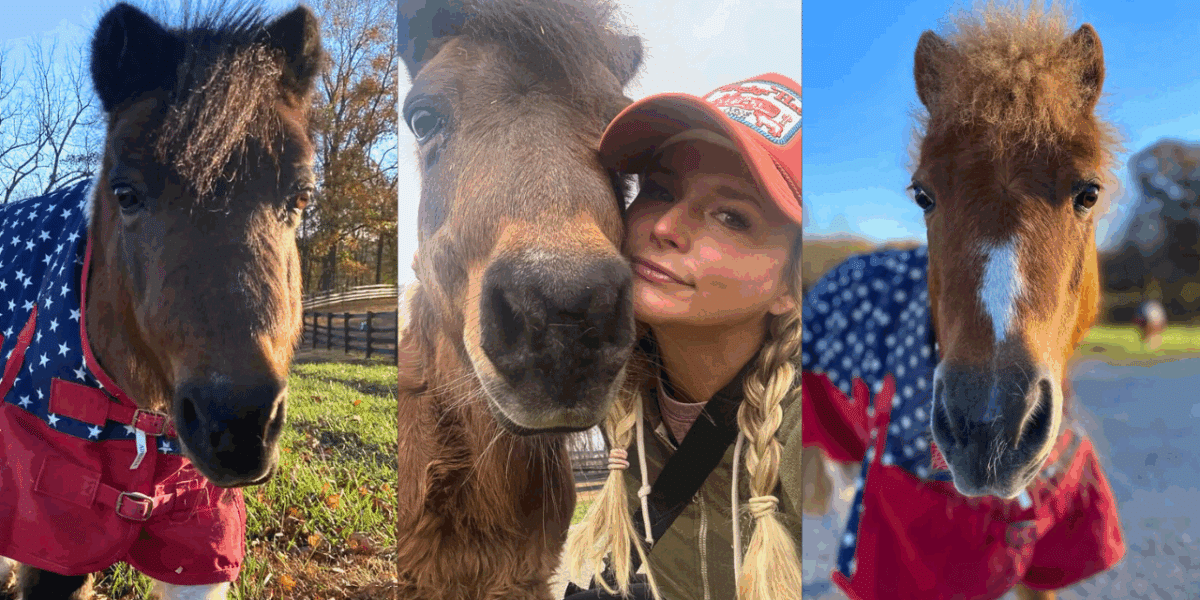 Miranda Lambert Grieves Loss Of Two Mini Horses In The Same Day