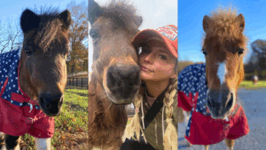 Miranda Lambert with her mini horses