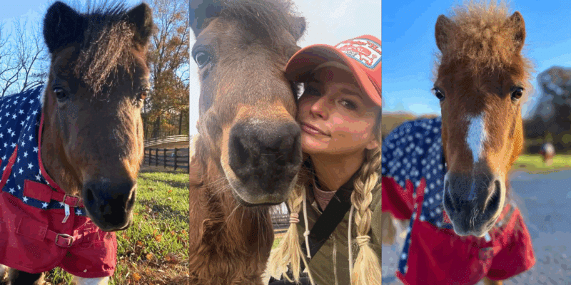 Miranda Lambert with her mini horses