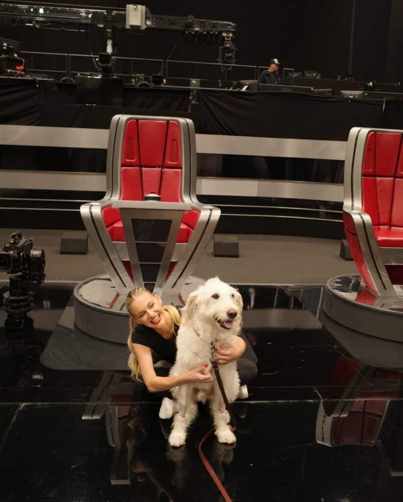 Kelsea Ballerini's dog, Dibs, on set on The Voice