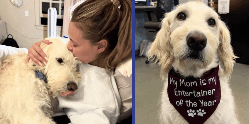 Kelsea Ballerini grieves the death of her beloved dog Dibs