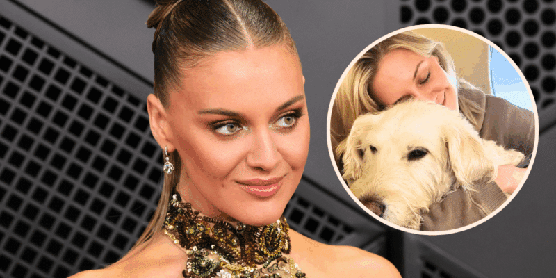 Kelsea Ballerini honored her dog, Dibs, with her Grammys dress