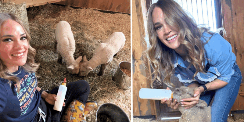 Carrie Underwood introduces fans to her two new baby sheep