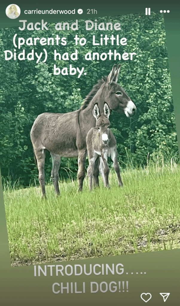 Carrie Underwood shares photo of her donkeys 